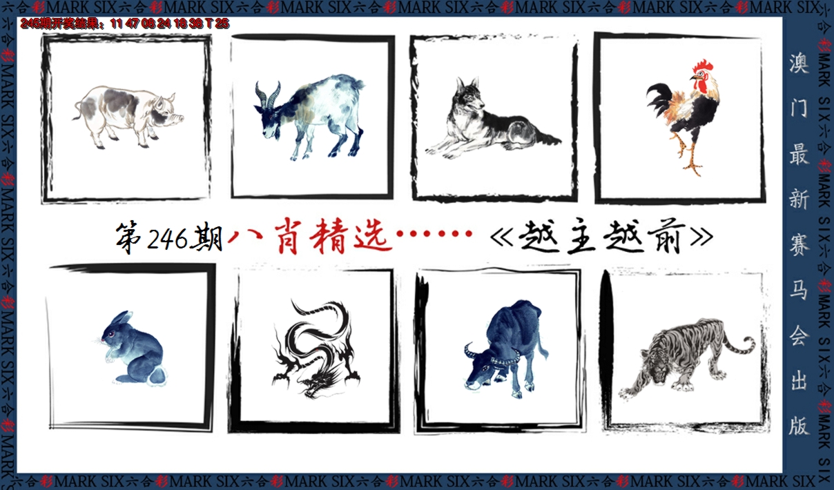 2024246期八肖精选