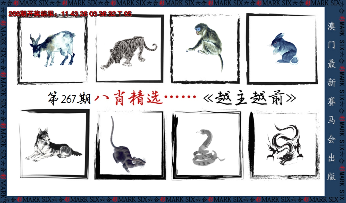 2024267期八肖精选