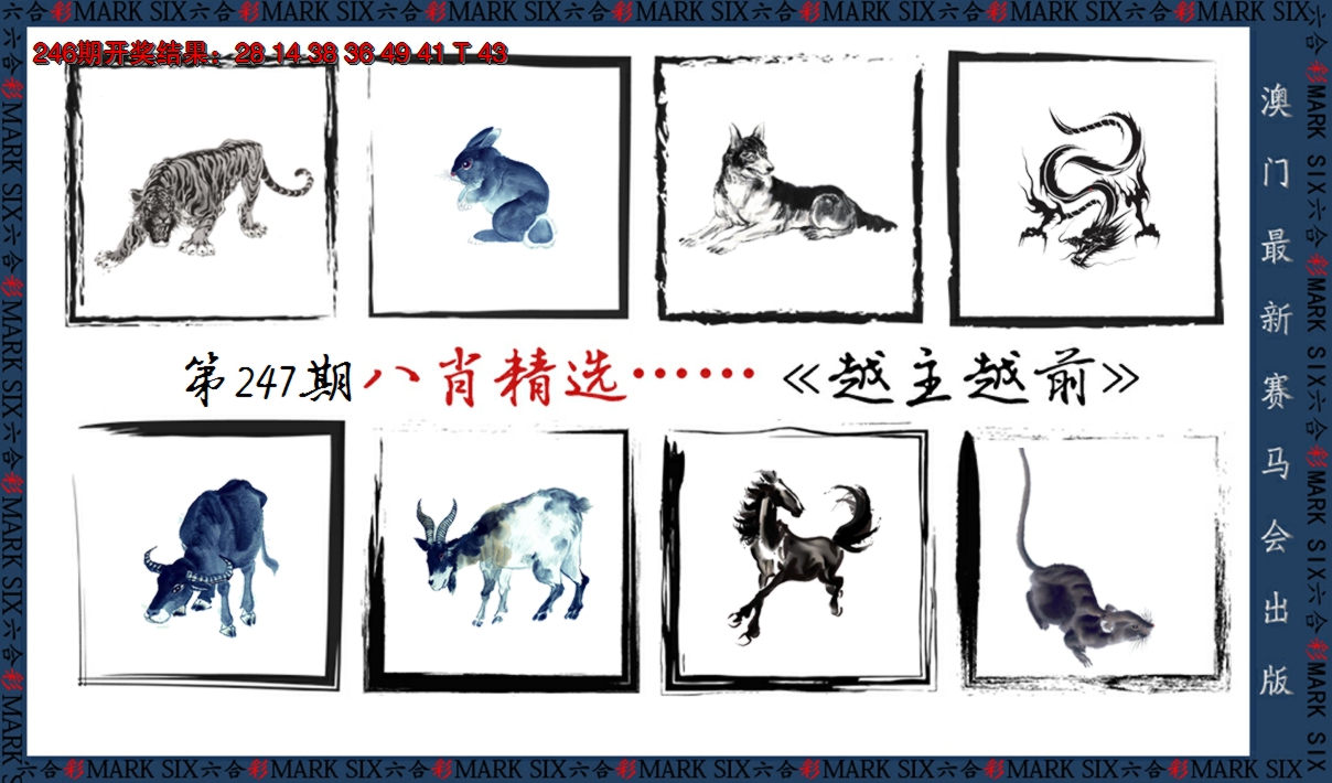 2024247期八肖精选