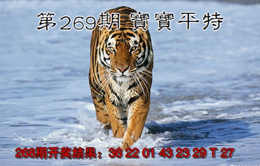 2024269期宝宝平特