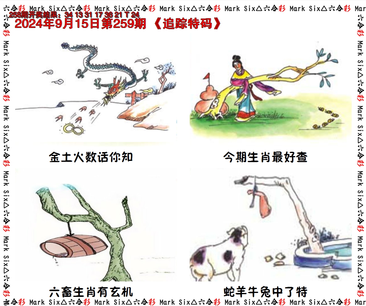 2024259期追踪特码