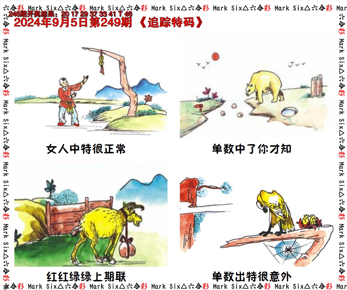 2024249期追踪特码