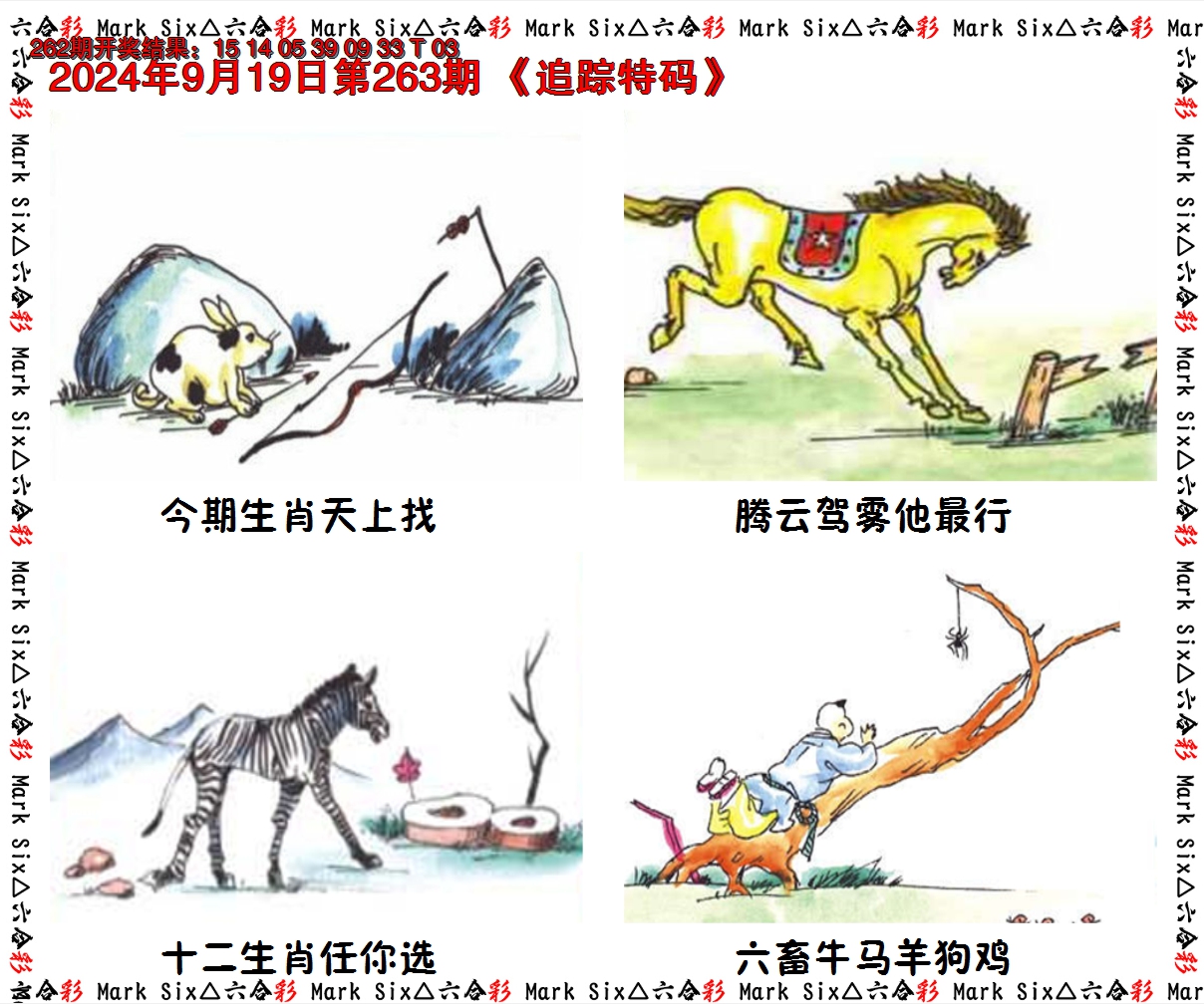 2024263期追踪特码