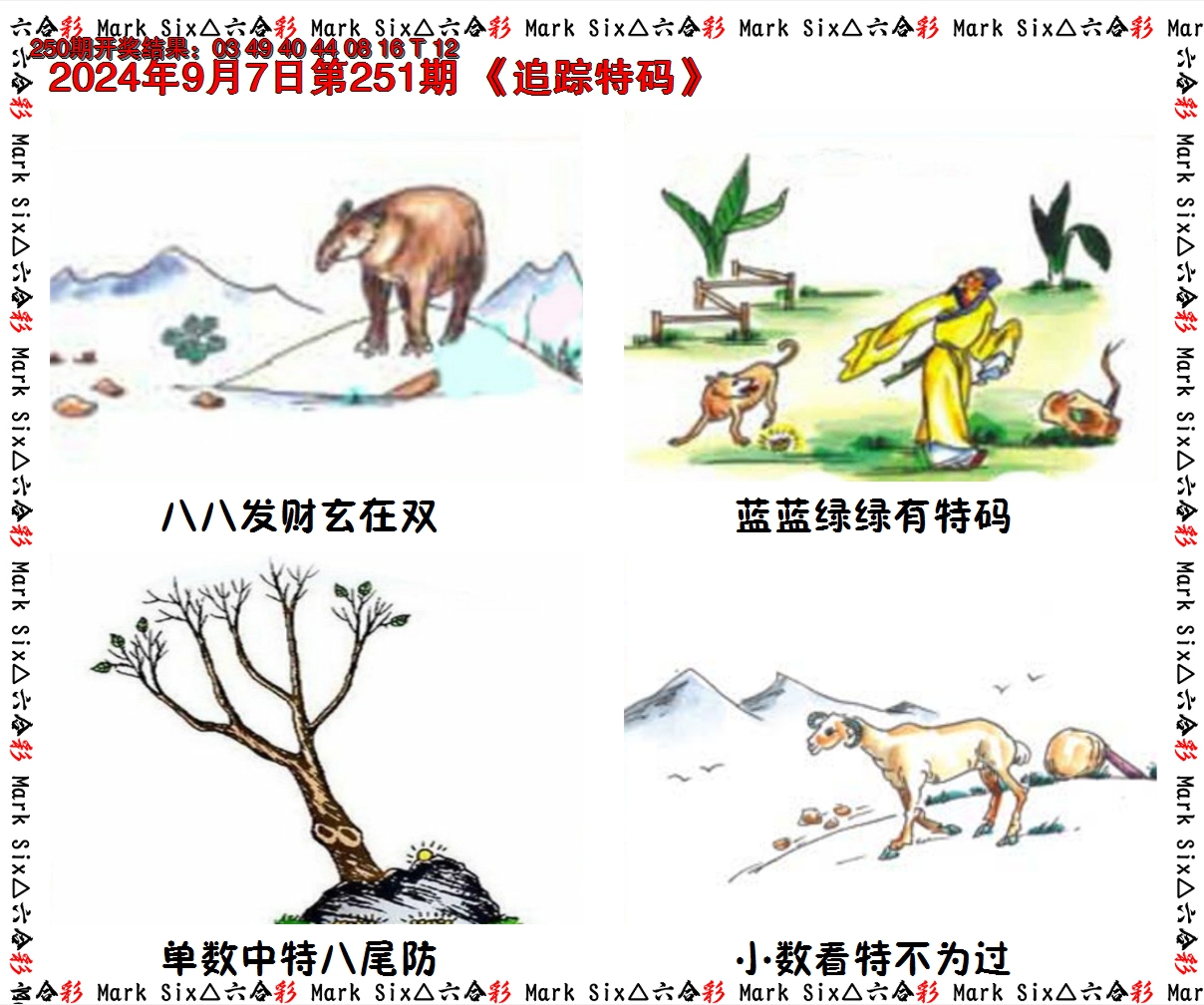 2024251期追踪特码