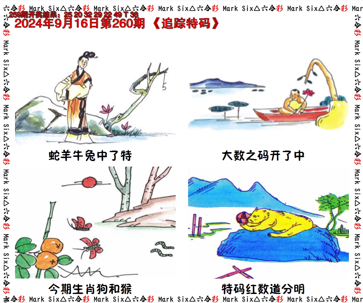 2024260期追踪特码