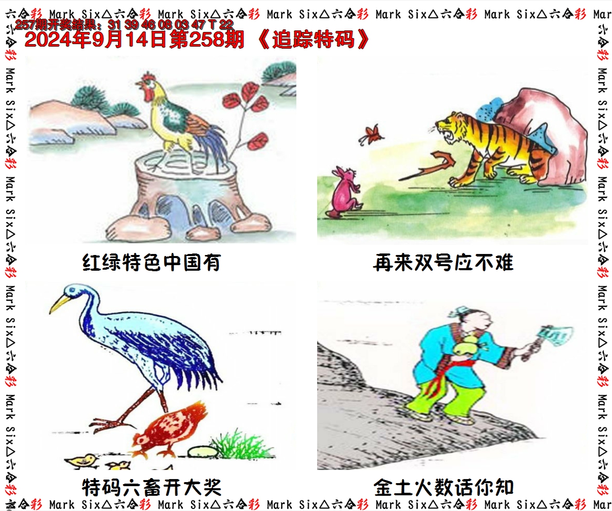 2024258期追踪特码
