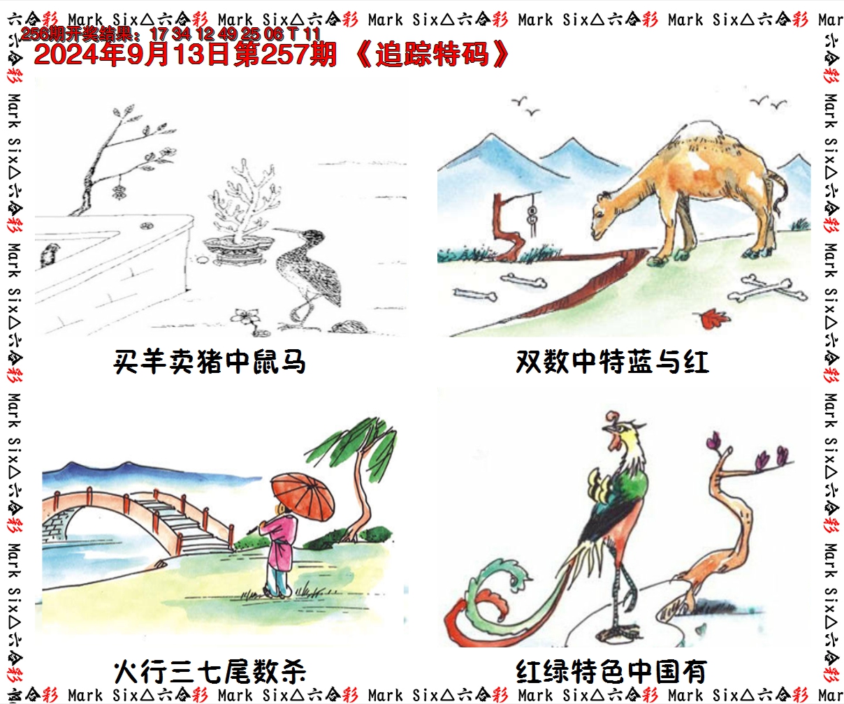 2024257期追踪特码