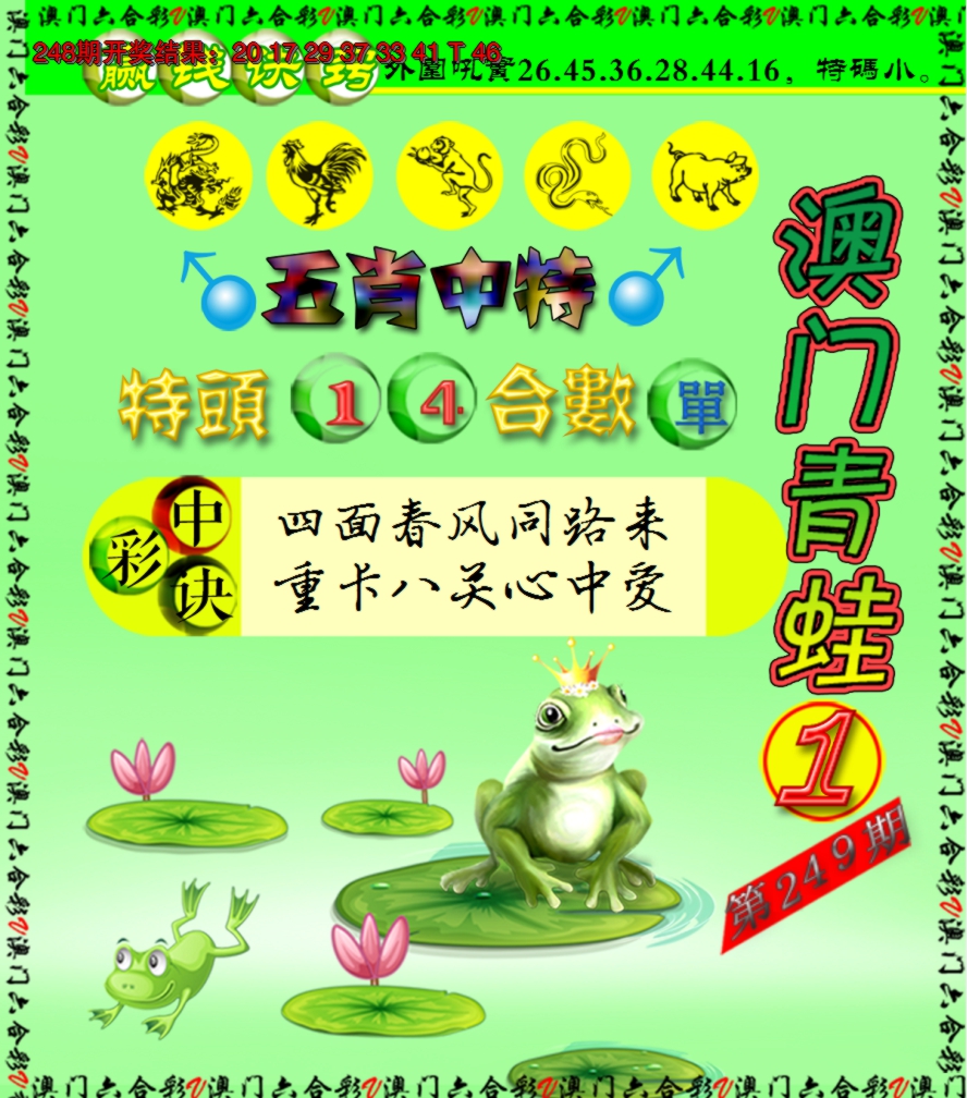 2024249期青蛙系列1