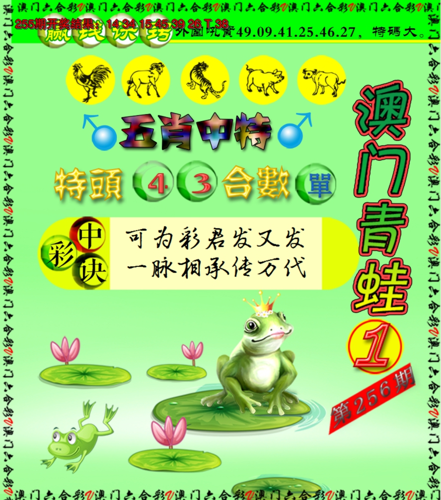 2024256期青蛙系列1