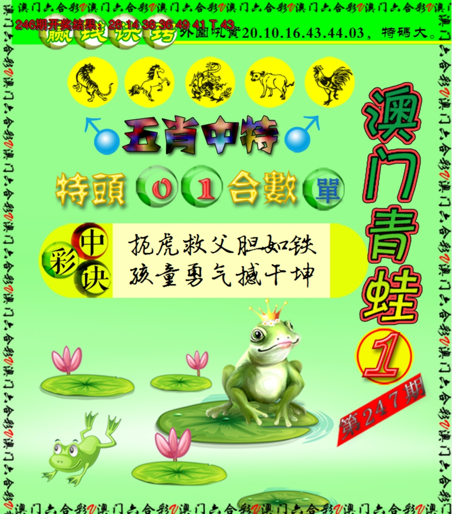 2024247期青蛙系列1