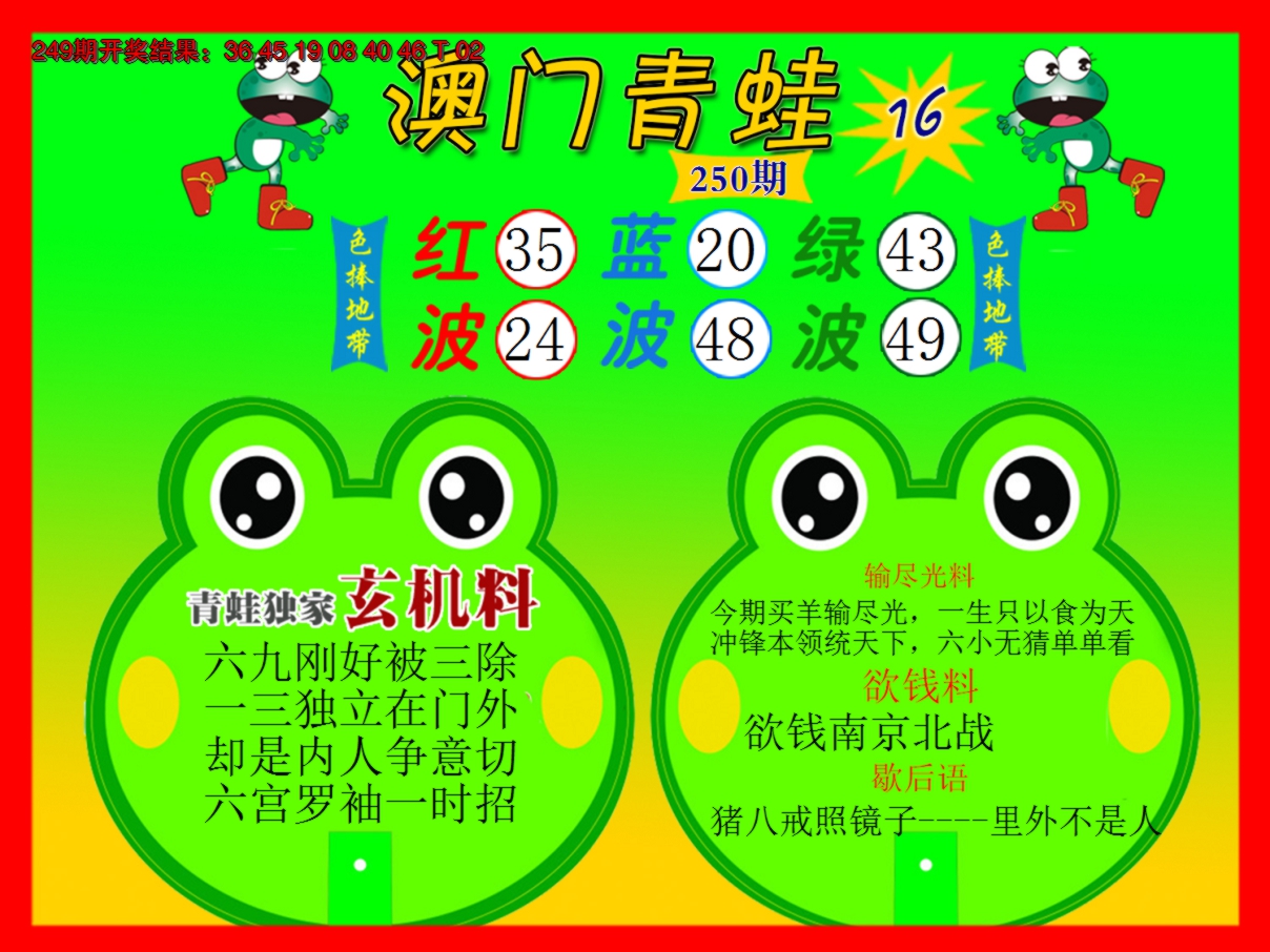 2024250期青蛙系列16