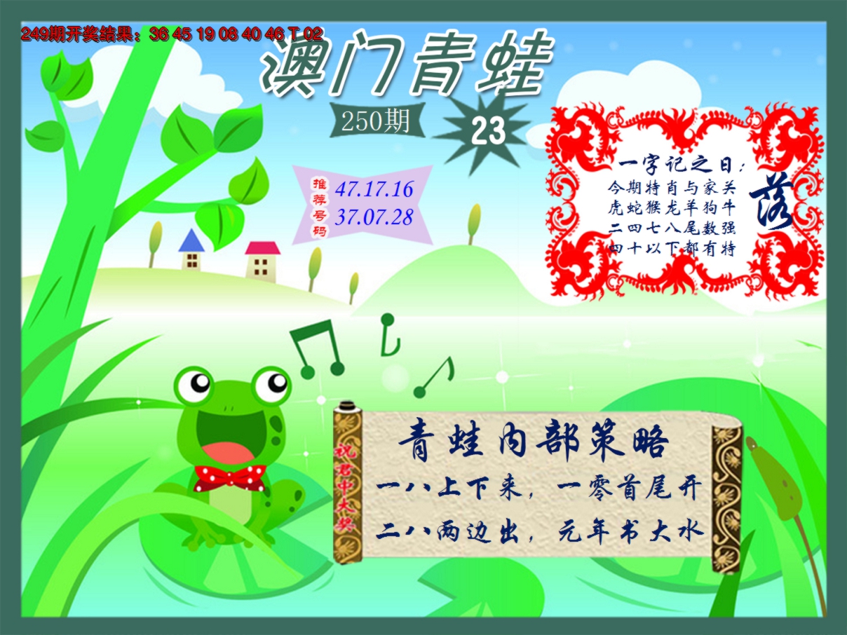 2024250期青蛙系列23