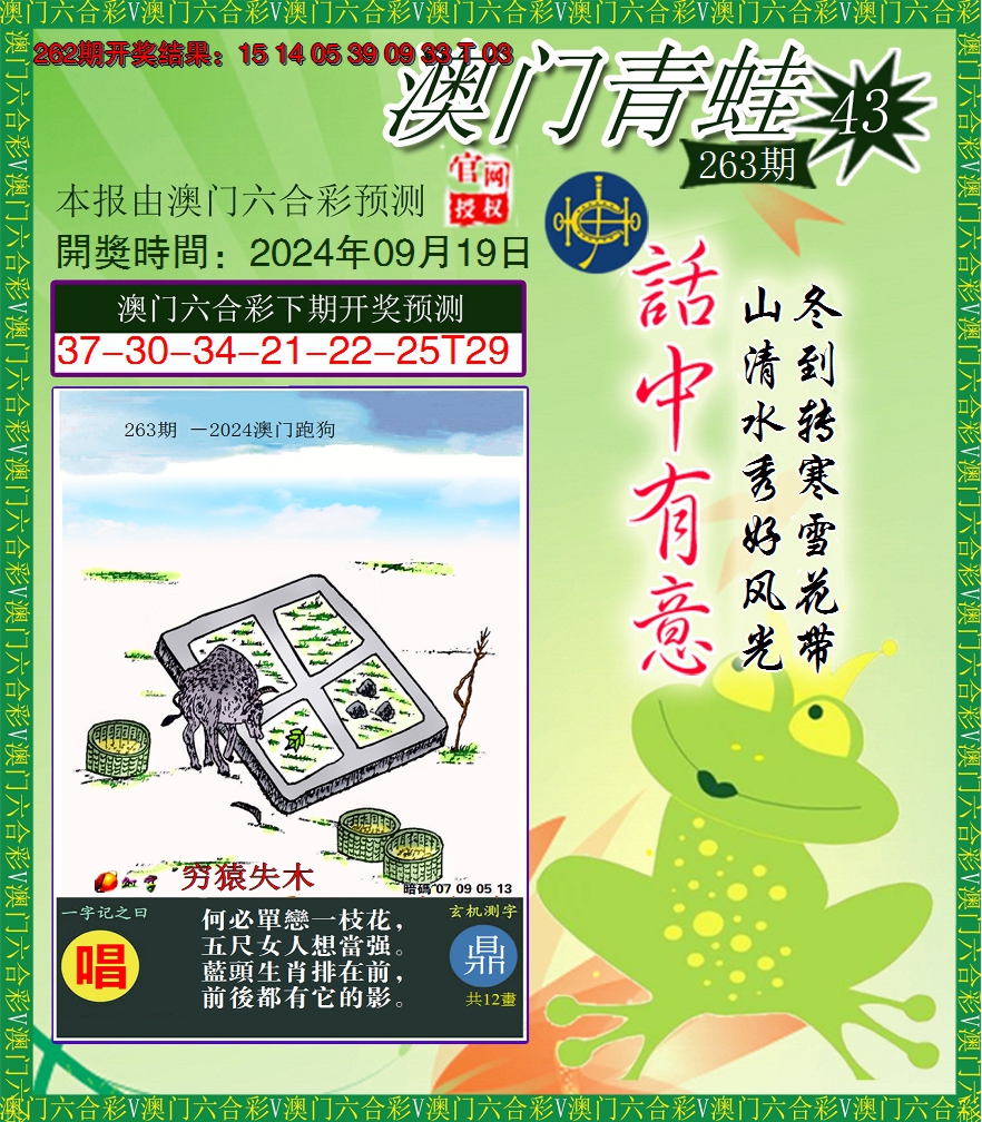 2024263期青蛙系列43