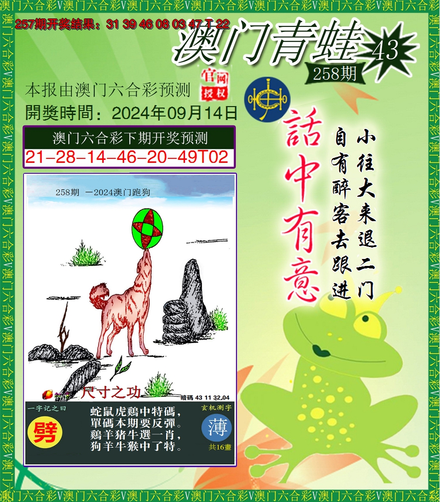 2024258期青蛙系列43