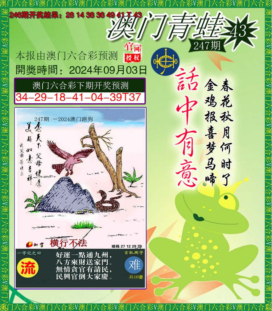 2024247期青蛙系列43