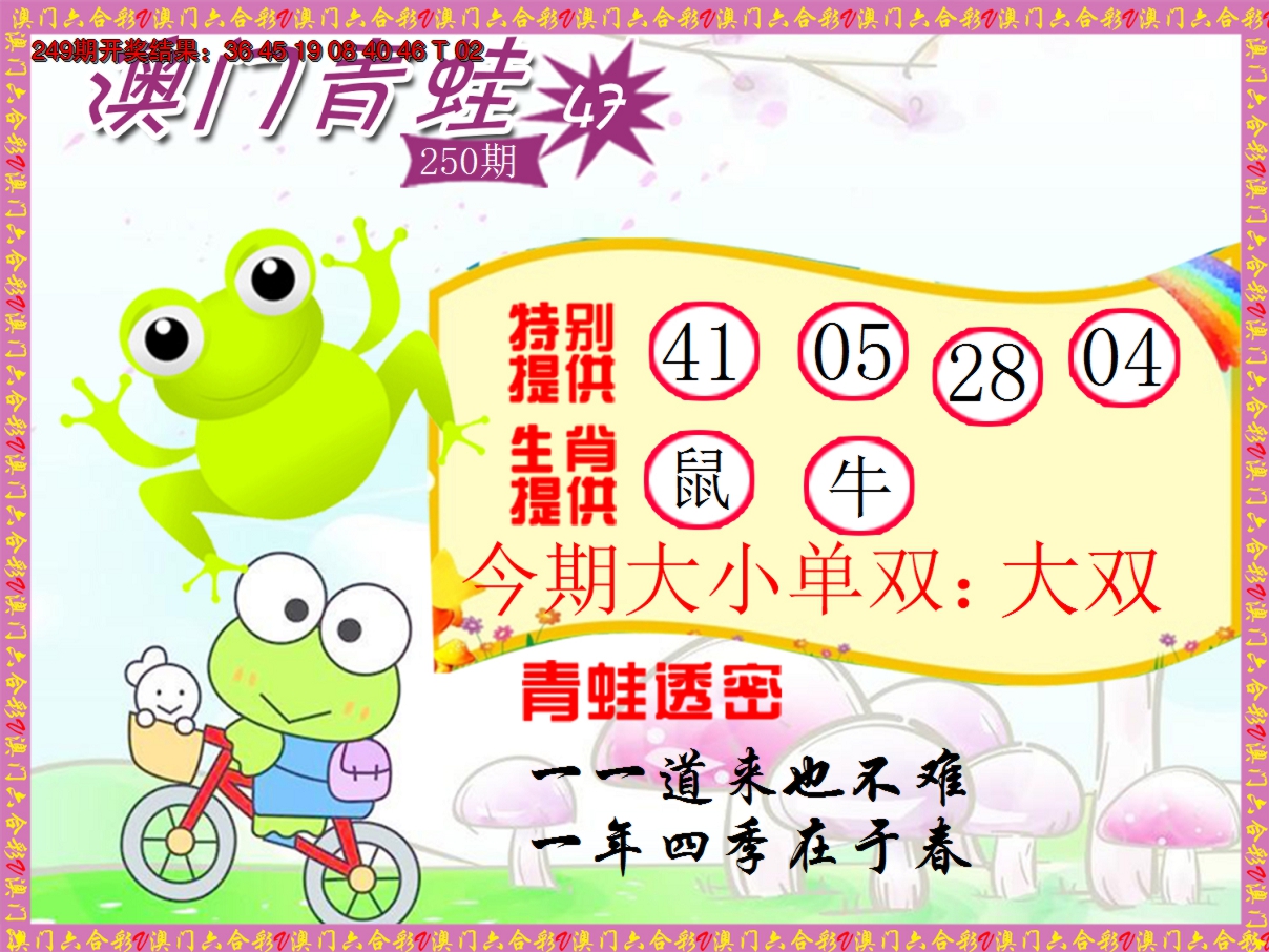 2024250期青蛙系列47