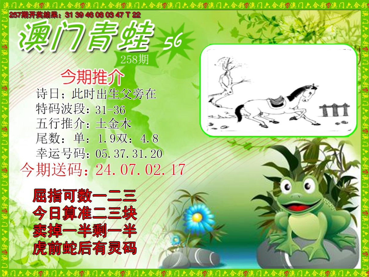 2024258期青蛙系列56