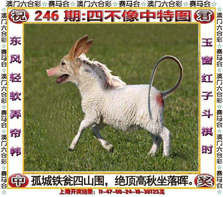 2024246期四不像中特图