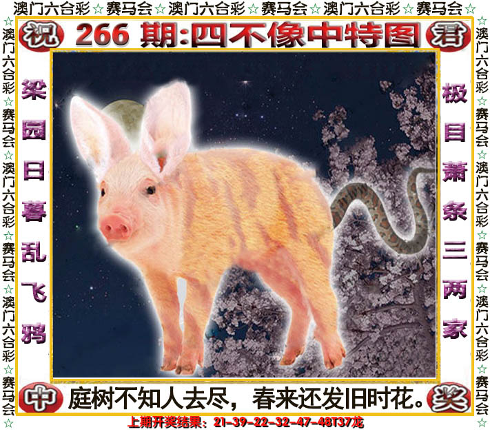 2024266期四不像中特图