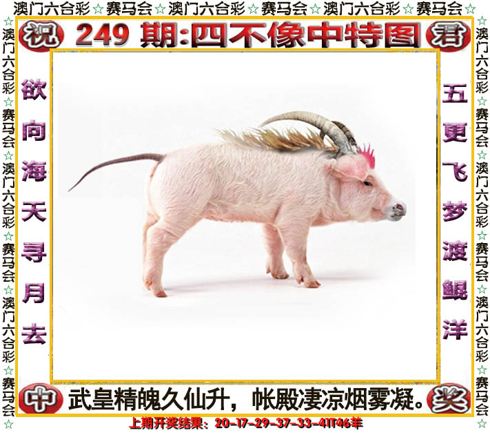2024249期四不像中特图