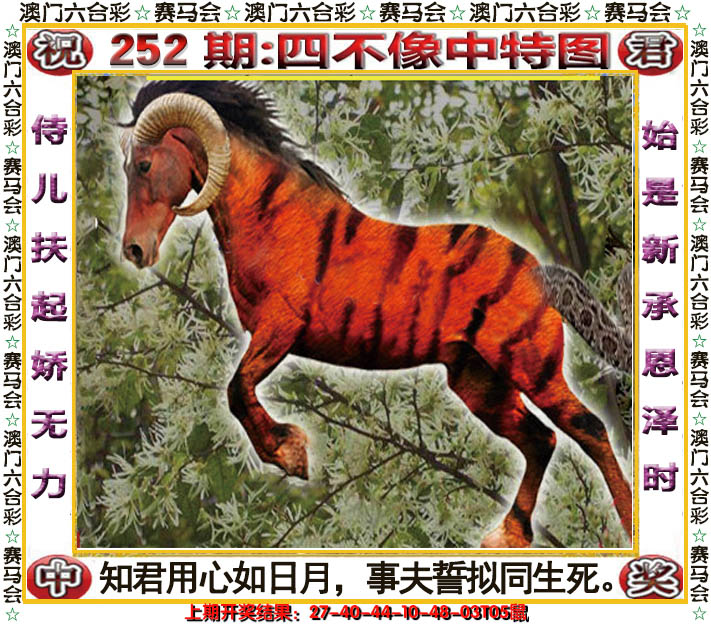 2024252期四不像中特图