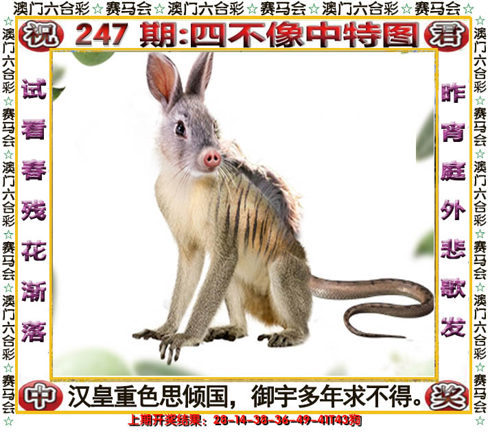 2024247期四不像中特图