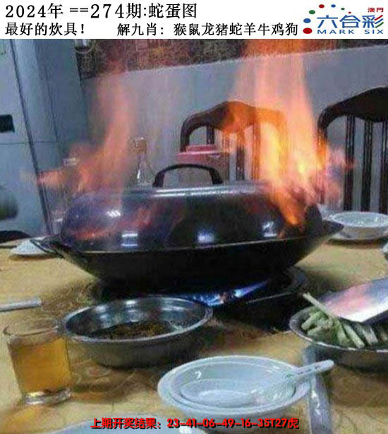 2024274期正版蛇蛋图
