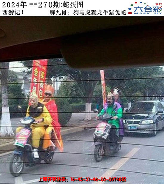 2024270期正版蛇蛋图