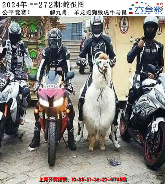 2024272期正版蛇蛋图