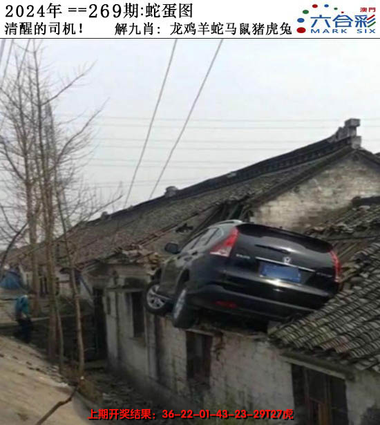 2024269期正版蛇蛋图
