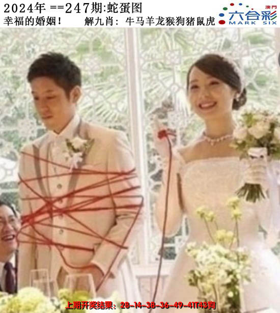 2024247期正版蛇蛋图