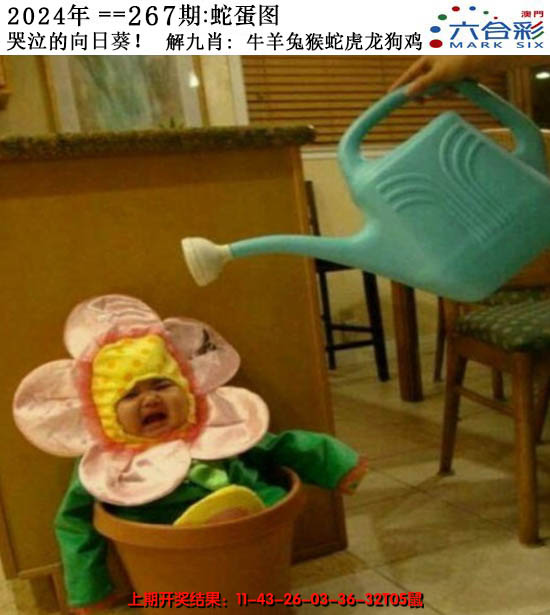 2024267期正版蛇蛋图
