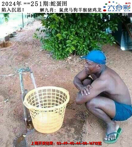 2024251期正版蛇蛋图