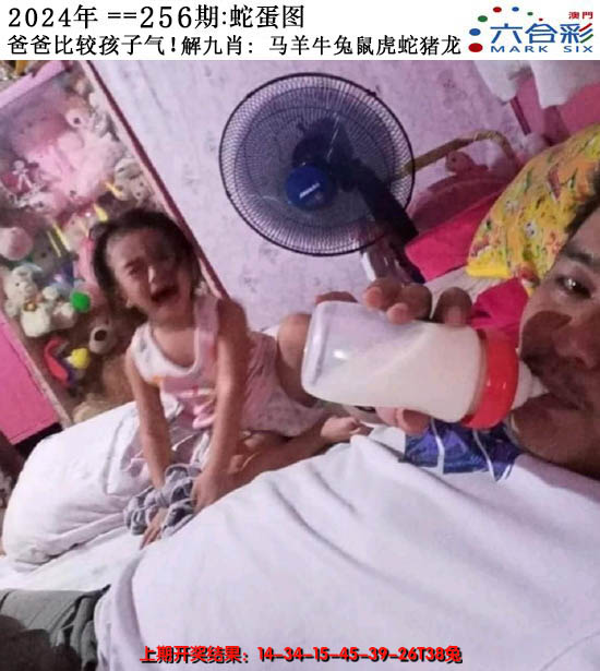 2024256期正版蛇蛋图