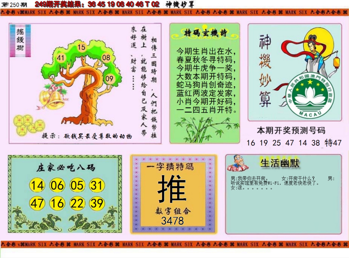 2024250期神机妙算
