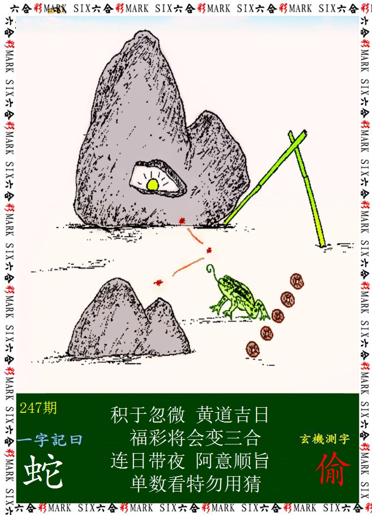 2024247期悟入其图