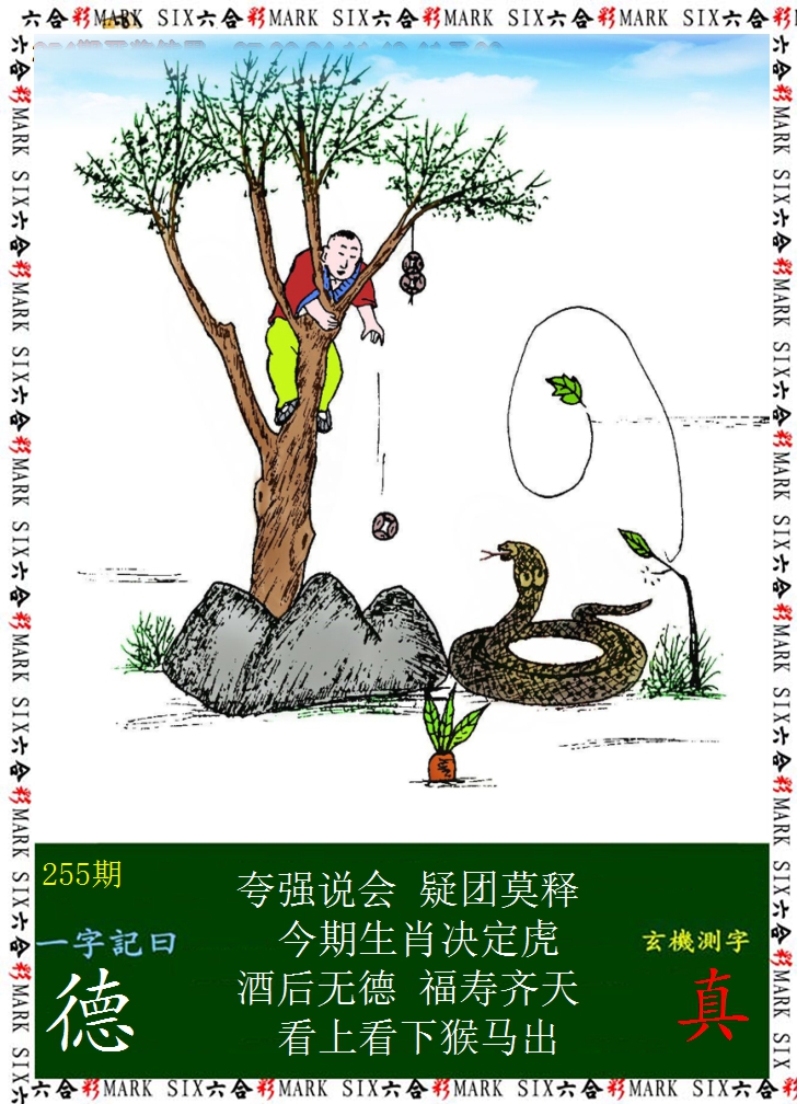 2024255期悟入其图
