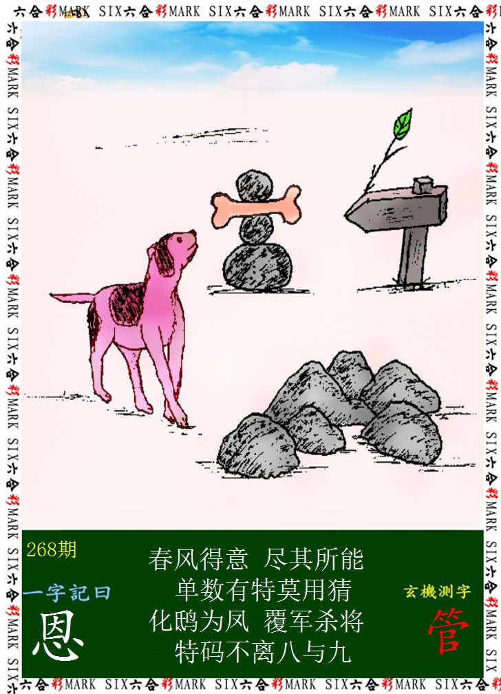 2024268期悟入其图
