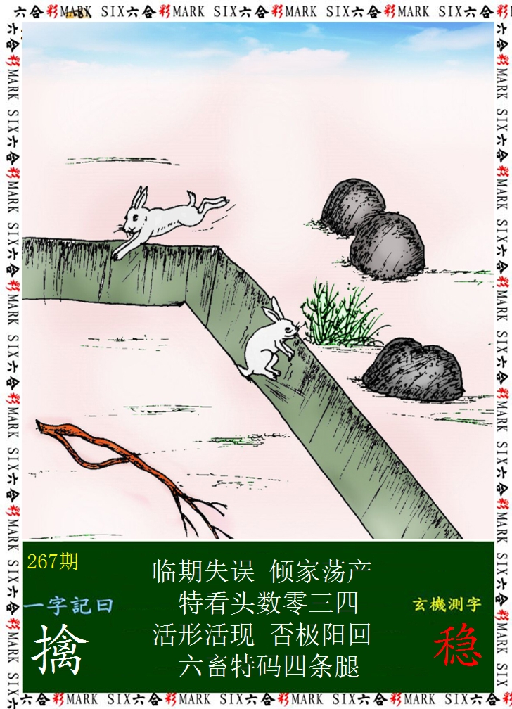 2024267期悟入其图