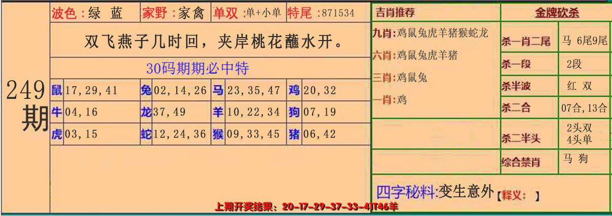 2024249期30码中特