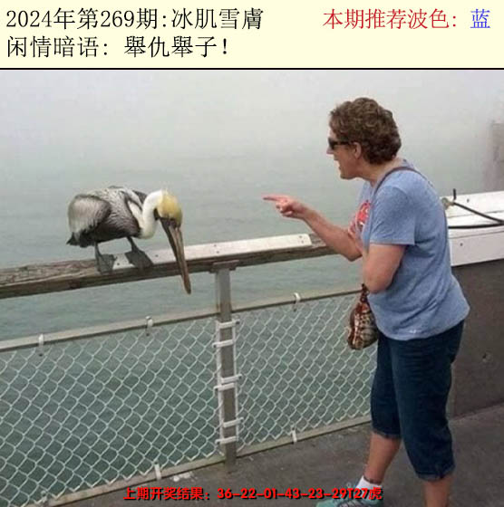 2024269期今日闲情2