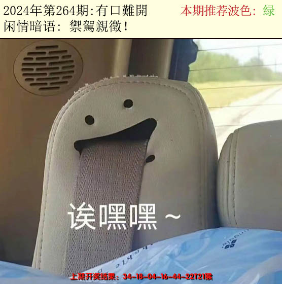 2024264期今日闲情2