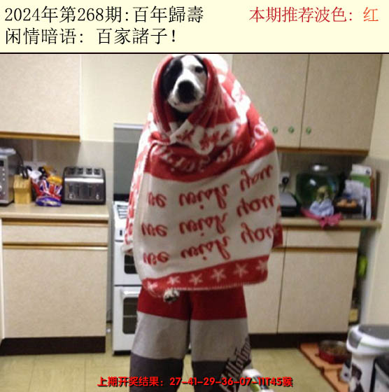 2024268期今日闲情2