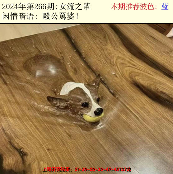 2024266期今日闲情2