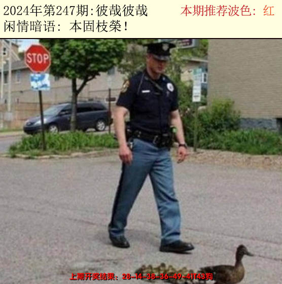 2024247期今日闲情2