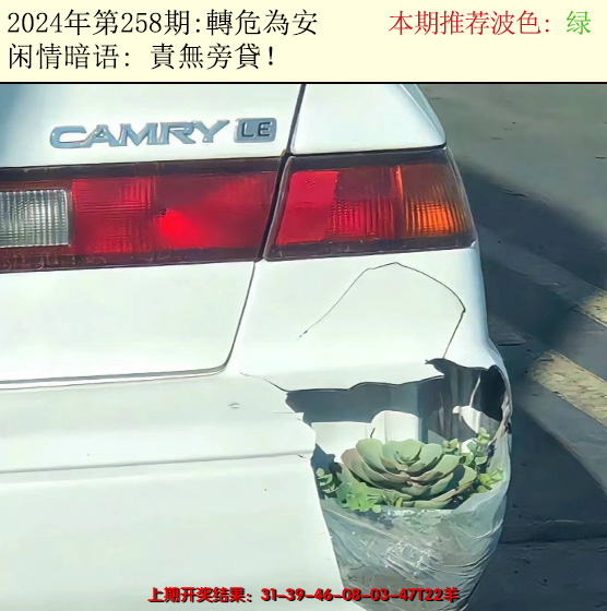 2024258期今日闲情2