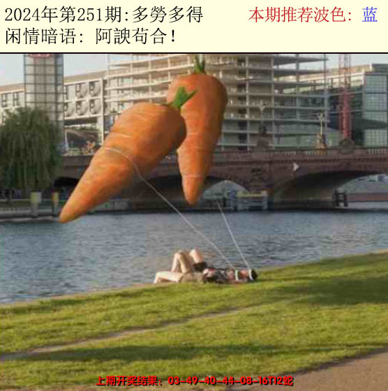 2024251期今日闲情2
