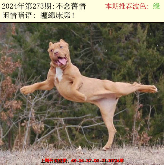 2024273期今日闲情2