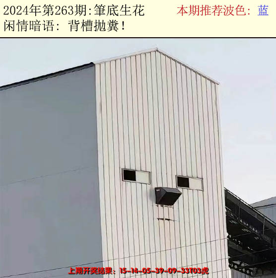 2024263期今日闲情2