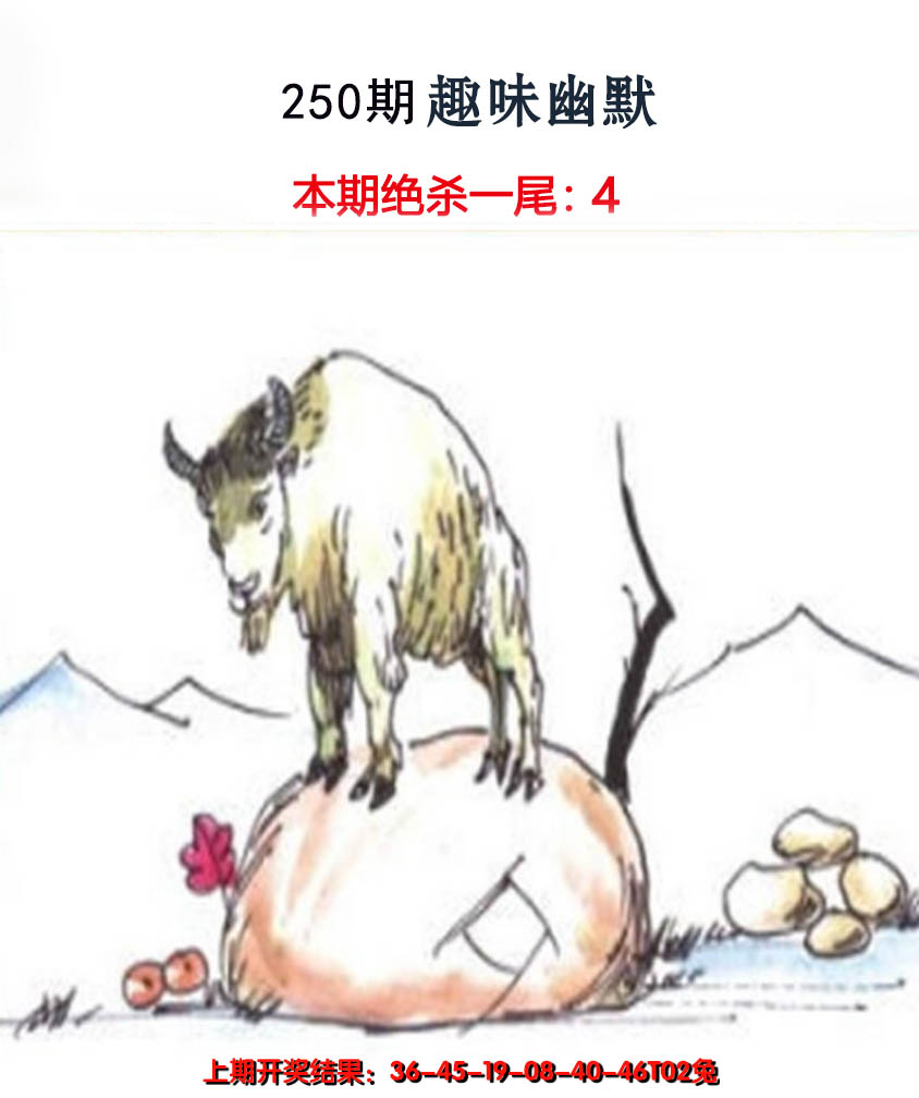 2024250期趣味幽默